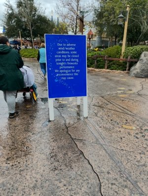 IMG_6895.jpeg