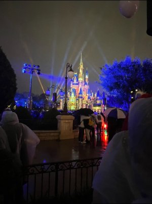 IMG_6916.jpeg