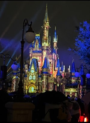 IMG_6917.jpeg IMG_6917.jpeg