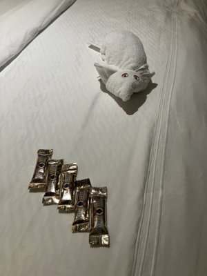 a3.jpg