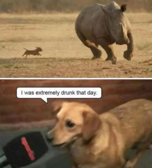 67c6c686e22d5.png