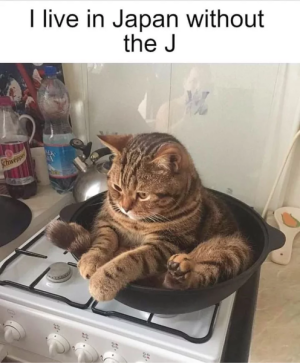 67c6f4f290e26.png