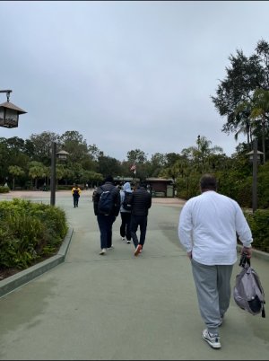 IMG_6965.jpeg