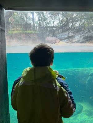 IMG_6986.jpeg
