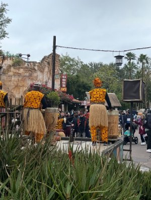 IMG_6987.jpeg