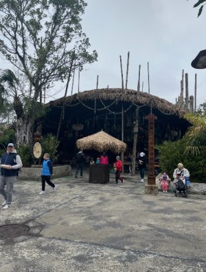 IMG_6993.jpeg