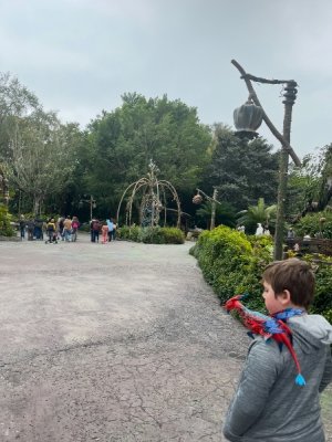 IMG_7003.jpeg