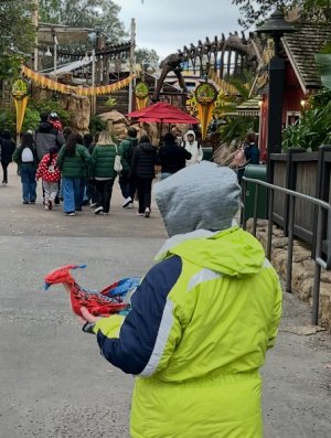 IMG_7008.jpeg