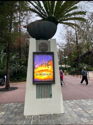 IMG_7019.jpeg