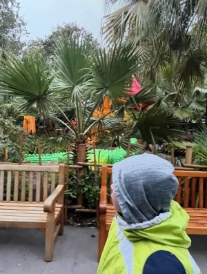 IMG_7024.jpeg