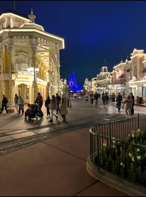 IMG_7033.jpeg