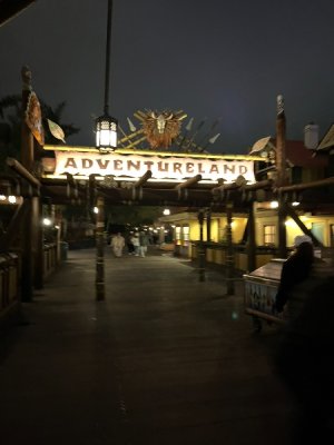 IMG_7034.jpeg