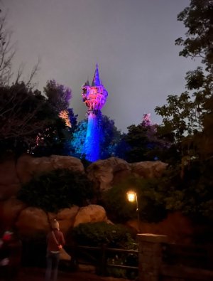 IMG_7041.jpeg