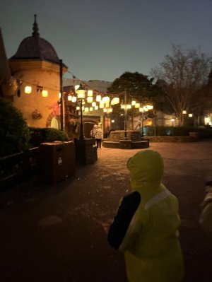 IMG_7042.jpeg