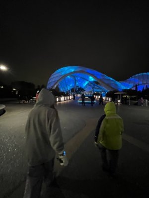 IMG_7058.jpeg