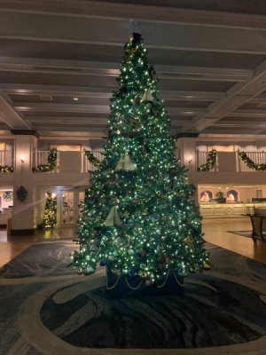 IMG_7284.JPEG