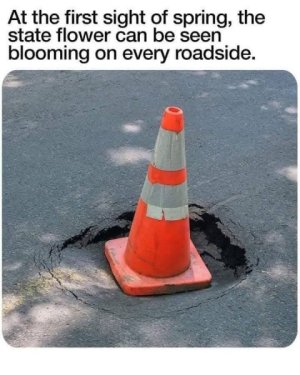 7l73lcemm8vo.jpg