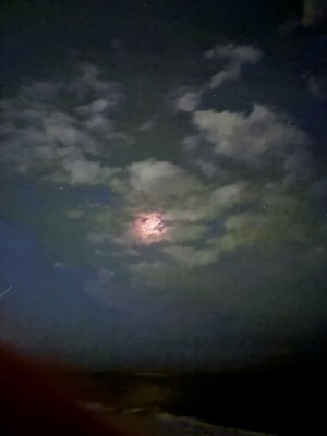IMG_7999.jpeg
