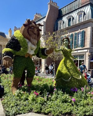 IMG_0725.jpeg