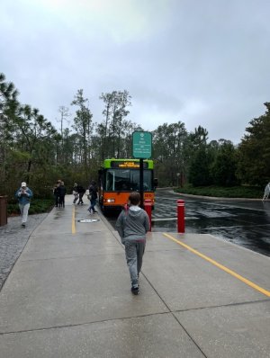 IMG_7080.jpeg