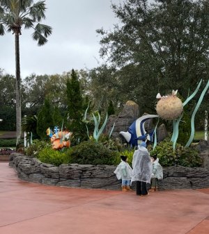 IMG_7086.jpeg