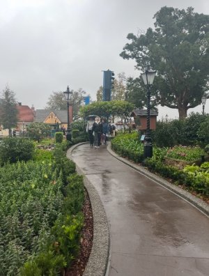 IMG_7109.jpeg