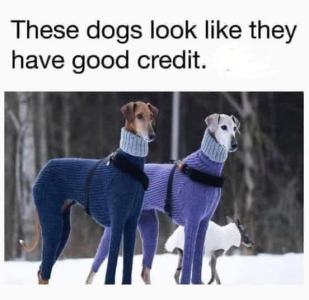 1741386915955.png