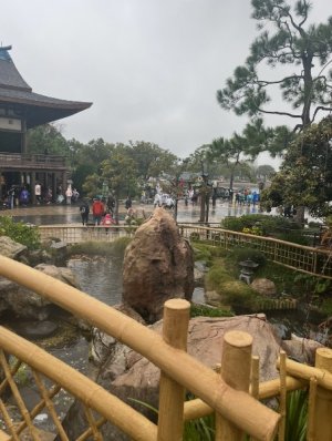 IMG_7121.jpeg