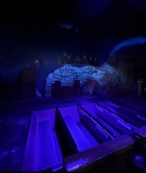 IMG_7137.jpeg