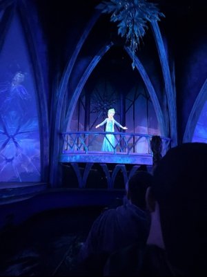 IMG_7138.jpeg