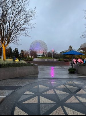 IMG_7143.jpeg
