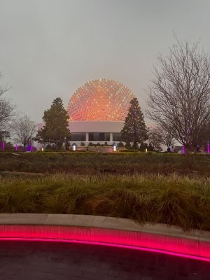 IMG_7150.jpeg