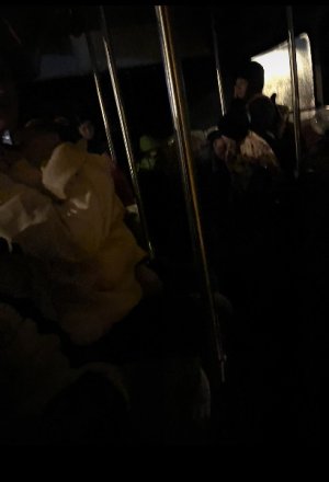 IMG_7161.jpeg