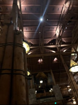 IMG_7169.jpeg
