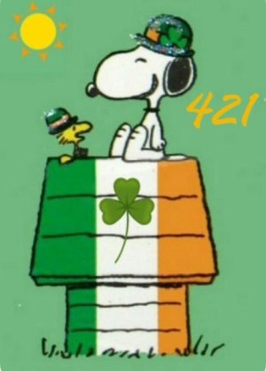 SW IRISH DOGHOUSE CD.jpg