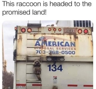 mci5fc6sp9yy.jpg