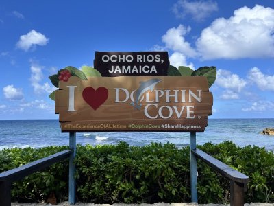 dolphin cove.jpeg dolphin cove.jpeg