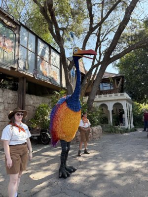 IMG_1166.jpeg