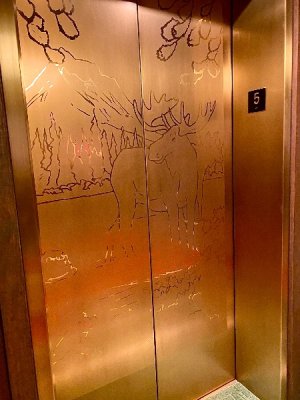 IMG_0236.jpeg
