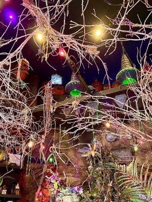 IMG_3318.jpeg