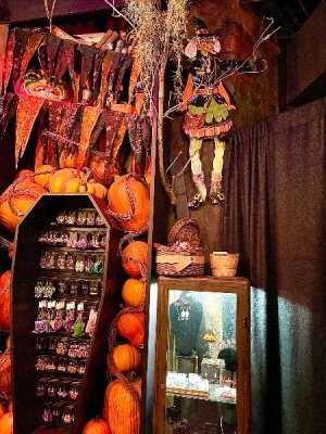 IMG_3331.jpeg