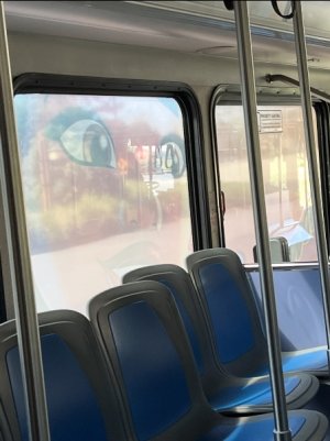 IMG_7219.jpeg