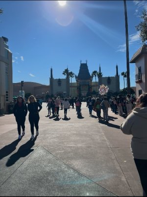 IMG_7233.jpeg