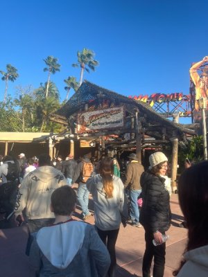 IMG_7254.jpeg