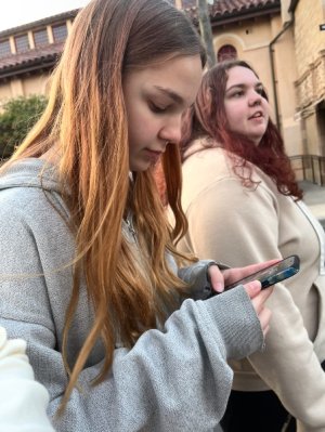 IMG_7268.jpeg