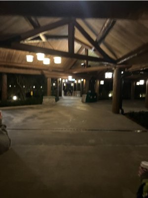 IMG_7298.jpeg