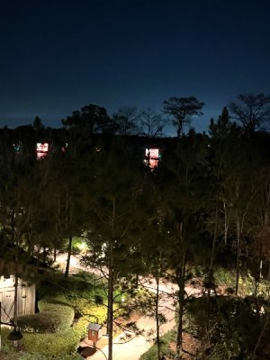IMG_7301.jpeg