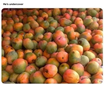 67cedf313c0ac.png