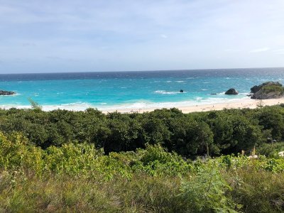 IMG_5595.jpeg