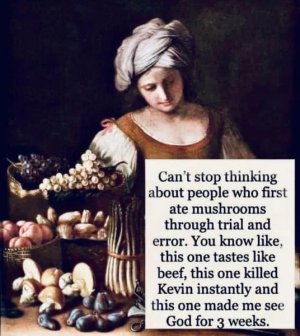 Mushrooms.jpg